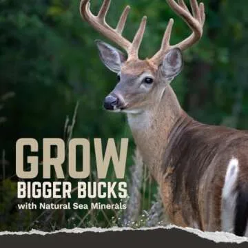 TROPHY ROCK Redmond Liquid All Natural Deer Mineral & Deer Entice