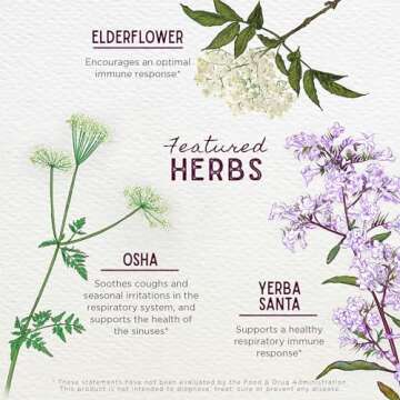 WishGarden Herbs Kick-It Immune for Kids - Immune Support Supplement for Kids, Herbal Immune Defense & Immune Booster with Echinacea, OSHA, Elder, Rapid Baby and Toddler Immune Support Formula, 2oz