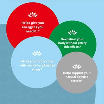 Sun Chlorella Superfood Drink for Immune & Energy Boost