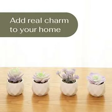 VIVERIE Artificial Purple Succulents Plant in White Ceramic Pots, Set of 4 - Mini Succulent Fake Room Decoration Aesthetics, Office Supplies/Room Decor/Office Halloween&Christmas Gifts