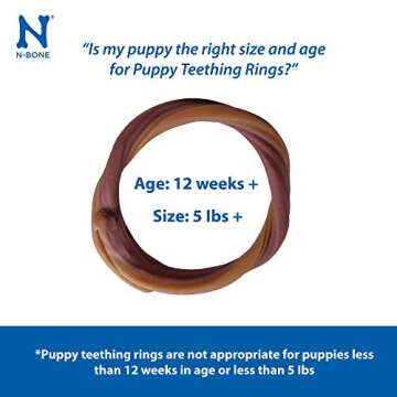 N-Bone Puppy Teething Ring Pumpkin Flavor 7.2 Oz/(6 Count)