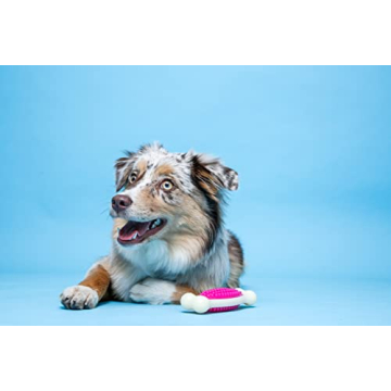 Hartz Chew 'n Clean Tuff Bone for Happy Canines