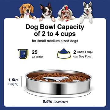AIPERRO Slow Feeder Dog Bowls 304 Stainless Steel, 2 Cups Metal Food Bowls, Water Bowl for Small & M...