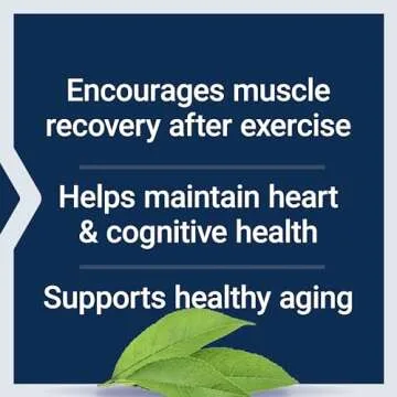 Life Extension Taurine Powder – Healthy Cardiovascular Support, Promotes Brain Health, Healthy Aging, and Muscle and Exercise Recovery – Gluten-Free, Non-GMO, Vegetarian – 300 Grams