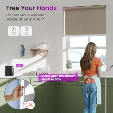 Astomi Custom Motorized Roller Shades with Smart Control