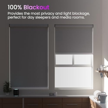 Astomi Custom Motorized Roller Shades with Smart Control