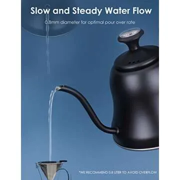 Matte Black Gooseneck Tea Kettle with Thermometer