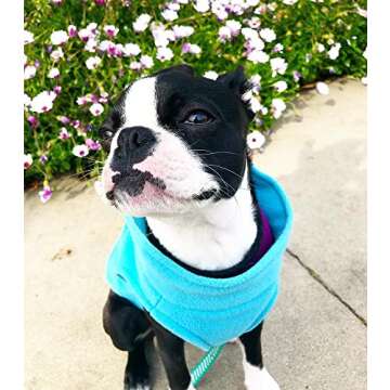 Gooby Stretch Fleece Vest Dog Sweater - Warm Pullover Fleece Dog Jacket - Winter Dog Clothes for Small Dogs, Large Dogs, Boy or Girl - Soft, Super Stretchy Fleece Vest Dog Sweater - Mint, Medium