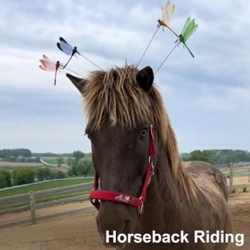 Dragonfly Clip - Natural Bug Repellant & Garden Decor