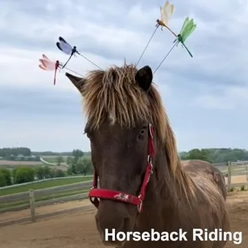 Dragonfly Clip - Natural Bug Repellant & Garden Decor