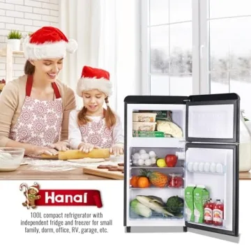 WANAI Retro Mini Fridge 3.5 Cu.ft - Compact Dual Door