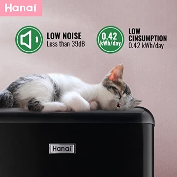 WANAI Retro Mini Fridge 3.5 Cu.ft - Compact Dual Door