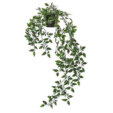 IKEA FEJKA Artificial Potted Plant for Indoor and Outdoor Use