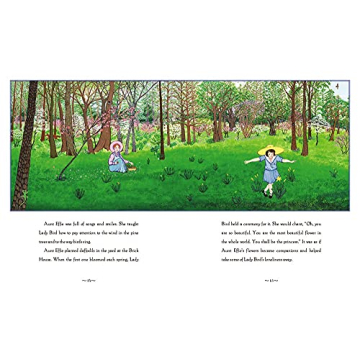 Miss Lady Bird's Wildflowers Book for Young Readers