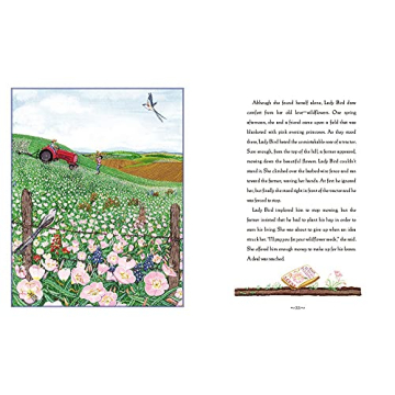 Miss Lady Bird's Wildflowers Book for Young Readers