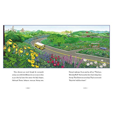 Miss Lady Bird's Wildflowers Book for Young Readers