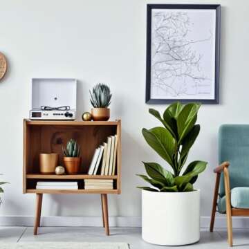 Fox & Fern 14.6 Inch Extra Large Planter — Premium Lightweight Fiberstone Matte White Plant Pot wi...