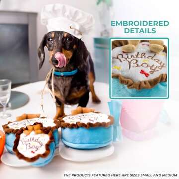 Haute Diggity Dog Birthday Boy Cake, Plush Designer Dog Toy with Interactive Squeaker, Safe Material...