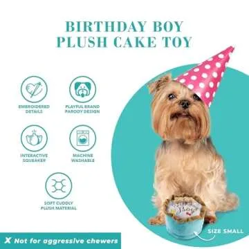 Haute Diggity Dog Birthday Boy Cake Plush Toy