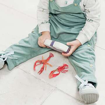 Lobster Toy Set - Interactive Educational Model for Kids