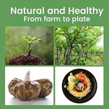 Hethstia Shirataki Konjac Spaghetti - Vegan, Low-Calorie Noodles