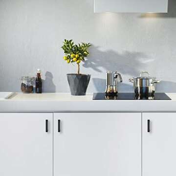 Ravinte 5 Pack Squre Cabinet Pulls 2-1/2 Inch Black Kitchen Cabinet Handles Matte Black Kitchen Hard...