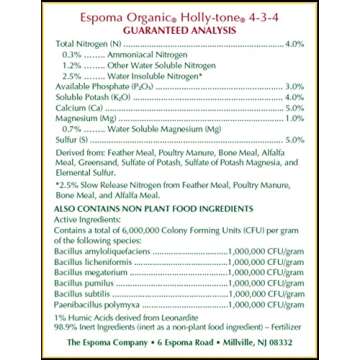 Espoma Organic Holly-Tone 4-3-4 Natural & Organic Evergreen & Azalea Plant Food; 4 lb. Bag; The Original & Best Fertilizer for All Acid Loving Plants Including Rhododendrons & Hydrangeas
