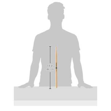 Promark 5A Hickory Drumsticks with Acorn Tip, 4 Pairs