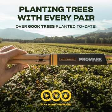 Promark 5A Hickory Drumsticks with Acorn Tip, 4 Pairs