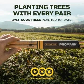 Promark 5A Hickory Drumsticks with Acorn Tip, 4 Pairs