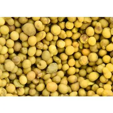 Fiddle Leaf Fig Slow-Release Fertilizer - Perfect Plants