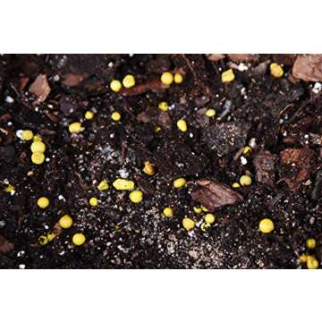 Fiddle Leaf Fig Slow-Release Fertilizer by Perfect Plants - Resealable 5oz. Bag - Consistent Nutrient Enrichment - for Indoor and Outdoor Use on All Ficus Varieties