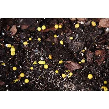 Fiddle Leaf Fig Slow-Release Fertilizer - Perfect Plants