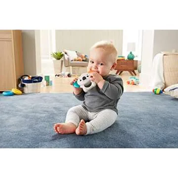 Fisher-Price Koala Musical Teether for Babies