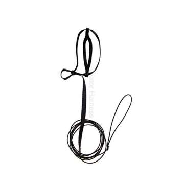 The AVIATOR Pet Bird Harness and Leash: X-Small Black