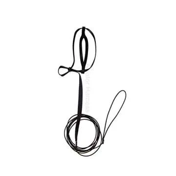 The AVIATOR Pet Bird Harness and Leash: X-Small Black