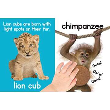 Adorable Animals - Touch and Feel Board Book - Sensory Board Book