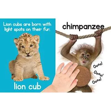 Adorable Animals - Touch and Feel Board Book - Sensory Board Book