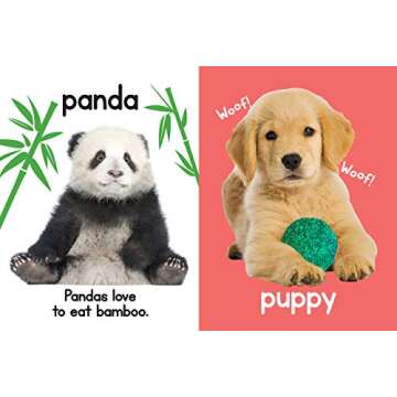 Adorable Animals - Touch and Feel Board Book - Sensory Board Book