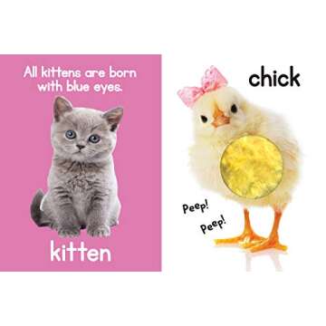 Adorable Animals - Touch and Feel Board Book - Sensory Board Book