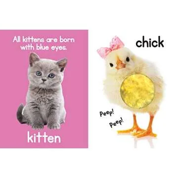 Adorable Animals - Touch and Feel Board Book - Sensory Board Book