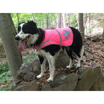 SafetyPUP Reflective Dog Vest for Ultimate Visibility