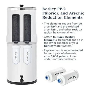 Berkey PF-2 Filters for Fluoride and Arsenic Reduction