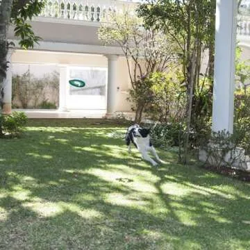 Chuckit! Lite Flight Dog Fetch Toy, Large (10 Inch Diameter)