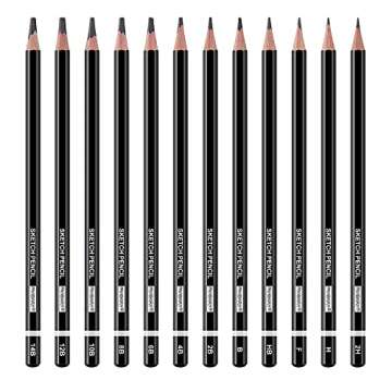 PANDAFLY Professional Drawing Sketching Pencil Set - 12 Pieces Graphite Pencils(14B - 2H), Ideal for...