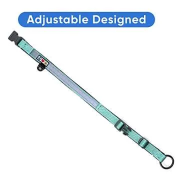 Pawtitas Lumberjack Padded Martingale Collar for Dogs | Soft Neoprene Dog Collar for Your pet's Comfort Made with Reflective Band for Maximum Visibility | Fits Small and Large Pets - XXS Teal