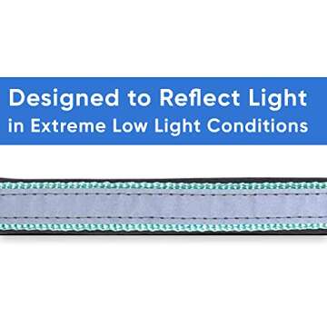 Pawtitas Lumberjack Padded Martingale Collar for Dogs | Soft Neoprene Dog Collar for Your pet's Comfort Made with Reflective Band for Maximum Visibility | Fits Small and Large Pets - XXS Teal