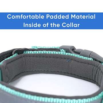 Pawtitas Lumberjack Padded Martingale Collar for Dogs | Soft Neoprene Dog Collar for Your pet's Comfort Made with Reflective Band for Maximum Visibility | Fits Small and Large Pets - XXS Teal