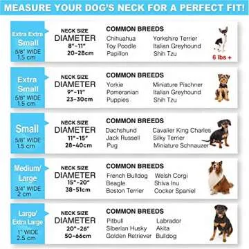 Pawtitas Lumberjack Padded Martingale Collar for Dogs | Soft Neoprene Dog Collar for Your pet's Comfort Made with Reflective Band for Maximum Visibility | Fits Small and Large Pets - XXS Teal