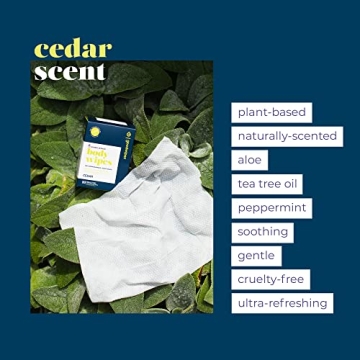 Goodwipes Really Big Body Wipes for Refreshing Cleanliness